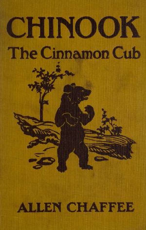 [Gutenberg 61888] • Chinook, the Cinnamon Cub